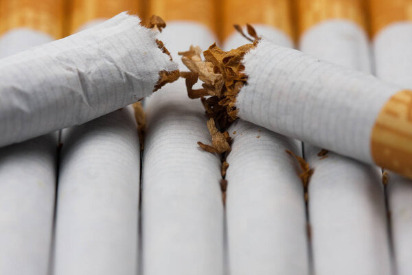 Numerous cigarettes, a broken cigarette, isolated on white background. Tobacco can cause diseases in the organism.