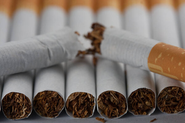 Numerous cigarettes, a broken cigarette, isolated on white background. Tobacco can cause diseases in the organism.