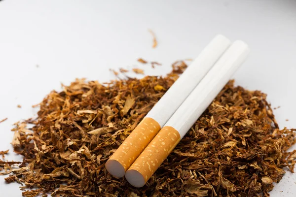 Cigarros em quantidade de tabaco desfiado isolado sobre fundo branco. O tabaco pode causar doenças . — Fotografia de Stock
