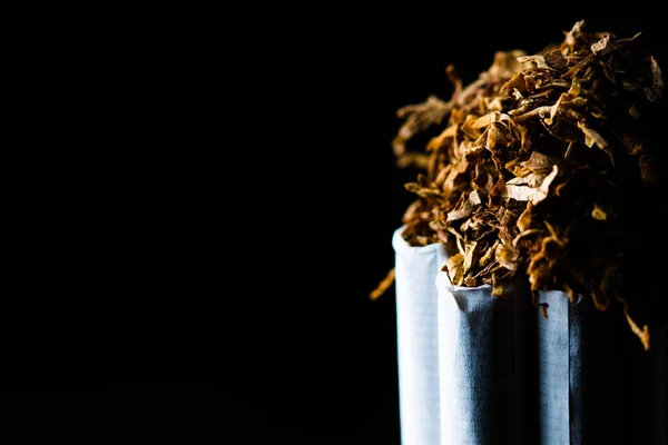 Numerous tobacco cigarettes isolated on black background with shredded tobacco on top of them. Tobacco can cause diseases.