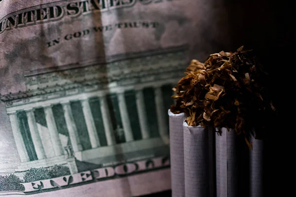 Numerous isolated tobacco cigarettes with shredded tobacco on top of them on a background with a five dollar bill. Tobacco can cause diseases.