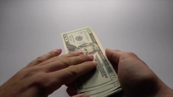 4K手在白色背景上数20美元钞票 计算货币收入 经济成功国家 成功的企业发放工资 银行存款百分比 每月工资单 — 图库视频影像