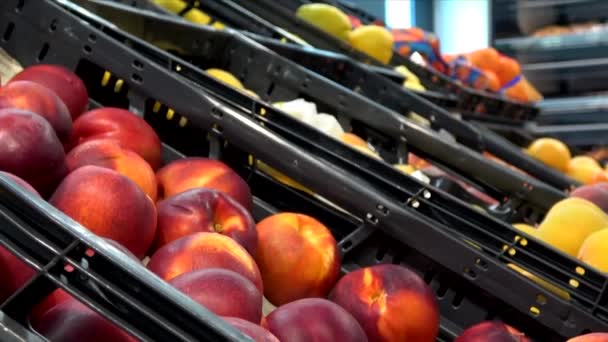 여성은 슈퍼마켓에서 음식을 구입합니다 여성은 슈퍼마켓에서 식료품 점에서 과일과 야채를 — 비디오