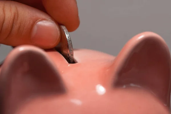 Close up of a person putting euro coins in a piggy bank inside. Person wanting to save. Investment, economic savings. Economy.