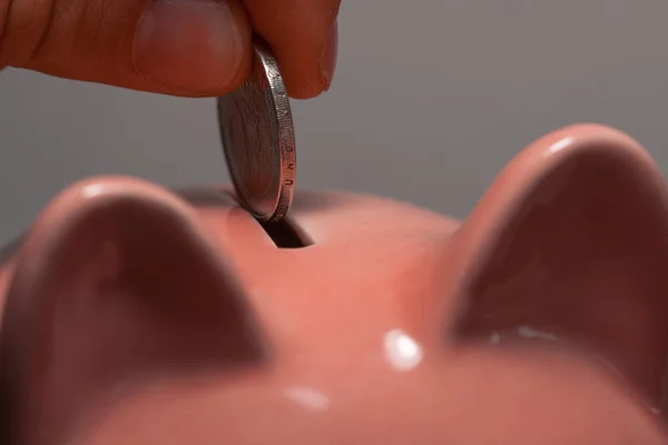 Close up of a person putting euro coins in a piggy bank inside. Person wanting to save. Investment, economic savings. Economy.