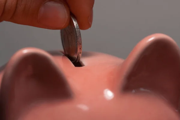 Close up of a person putting euro coins in a piggy bank inside. Person wanting to save. Investment, economic savings. Economy.