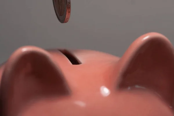 Close up of a person putting euro coins in a piggy bank inside. Person wanting to save. Investment, economic savings. Economy.