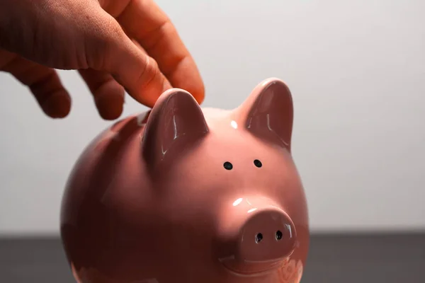 Close up of a person putting euro coins in a piggy bank inside. Person wanting to save. Investment, economic savings. Economy.