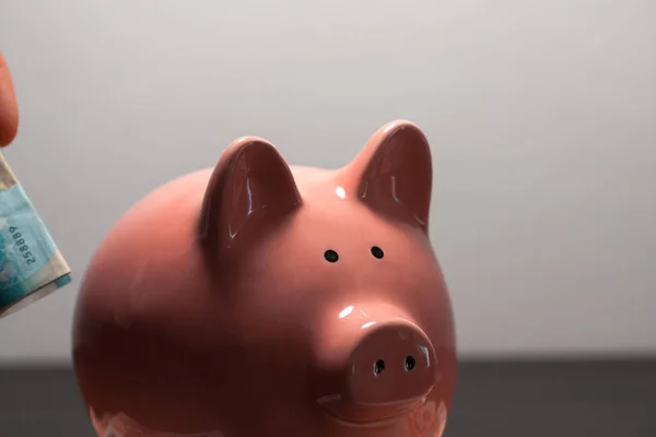 Close up of a person putting euro coins in a piggy bank inside. Person wanting to save. Investment, economic savings. Economy.