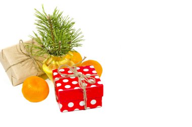 Çamın dalları bir minyatür vazo mandalina ve çok renkli hediye Festival düzenleme