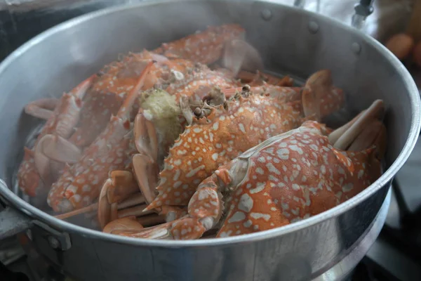 Heiß Gedämpfte Blaue Krabben Einem Topf — Stockfoto