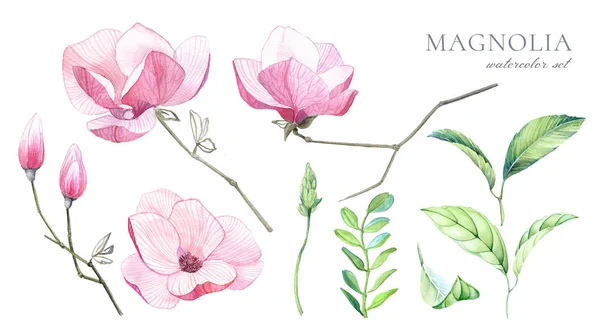 Acquerello Floreale Botanico Illustrazione Set Grandi Fiori Magnolia Germogli Foglie — Foto Stock