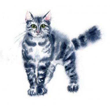 Suluboya illüstrasyon el çizgili komik sevimli eğlenceli kedi çizilmiş - kedi kova - siyah, gri, beyaz