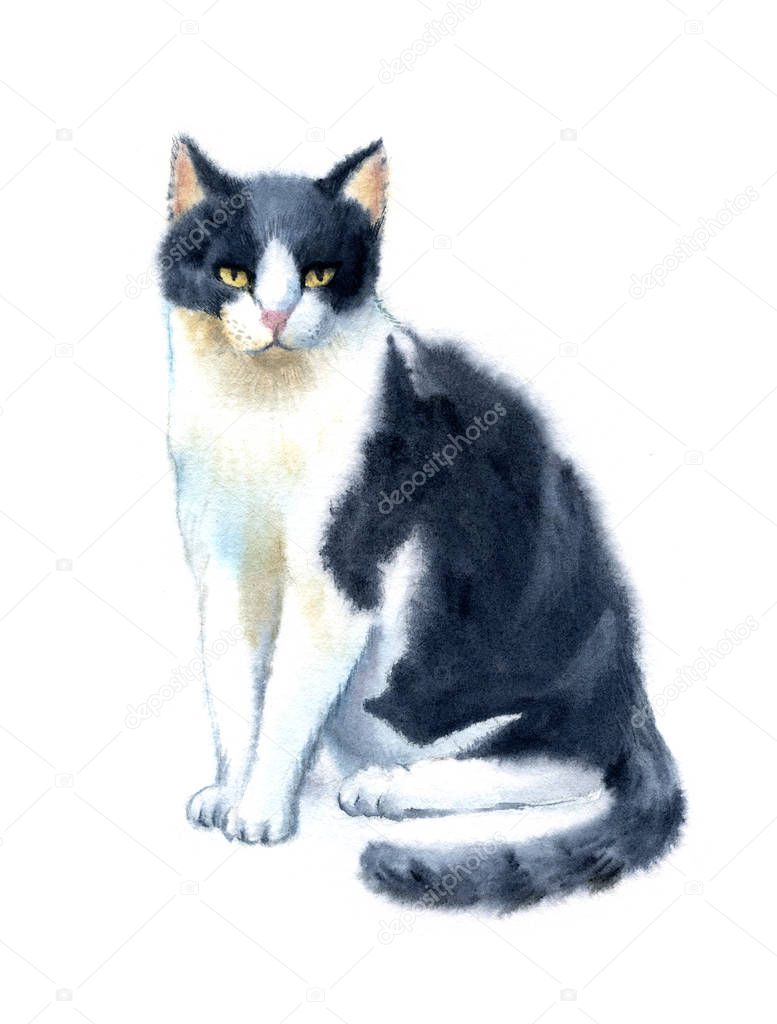 Watercolor illustration hand drawn funny cute playful cat with stripes - kitten aquarelle - black, grey, white