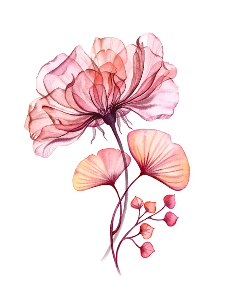 水彩透明の花のバラの花束は、ベリー、葉、パステルピンク、オレンジレッドサンゴの植物のイラスト結婚式のデザイン要素の束の白いコレクションに隔離 — ストック写真