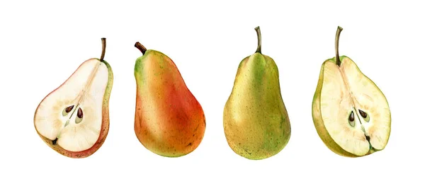 Pink green pear fruits whole half slice realistic botanical watercolor illustration juicy isolated clipart hand drawn, fresh tropical food exotic orange yellow golden color for food label design — Stock Photo, Image