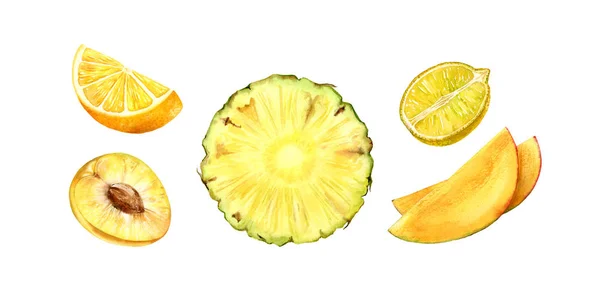 Akwarela biały cytryna ilustracja jedzenie kromka mango na białym tle owoc pomarańczowy realistyczny rysunek ręka soczysty tropikalny zielony śliwka — Zdjęcie stockowe