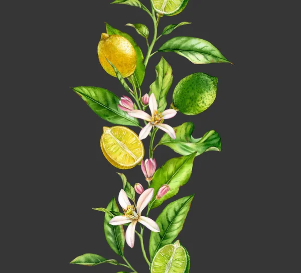 Limão ramo de frutas limão com flores borda sem costura realista composição botânica aquarela: folhas de árvores cítricas obras de arte isoladas em mão cinza escuro desenhado fresco tropical alimento amarelo elemento de design — Fotografia de Stock