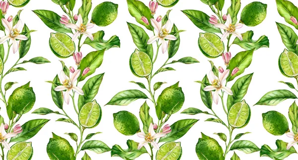 Lime frutta modello senza soluzione di continuità ramo albero acquerello con fiori realistico disegno botanico superficie floreale: intera metà agrumi foglie isolate opere d'arte su bianco disegnato a mano per carta da parati tessile — Foto Stock