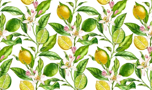 Lemon Lime fruit seamless pattern watercolor tree branch with flowers realistic botanical floral surface design: whole half citrus leaves isolated artwork on white hand drawn for textile wallpaper