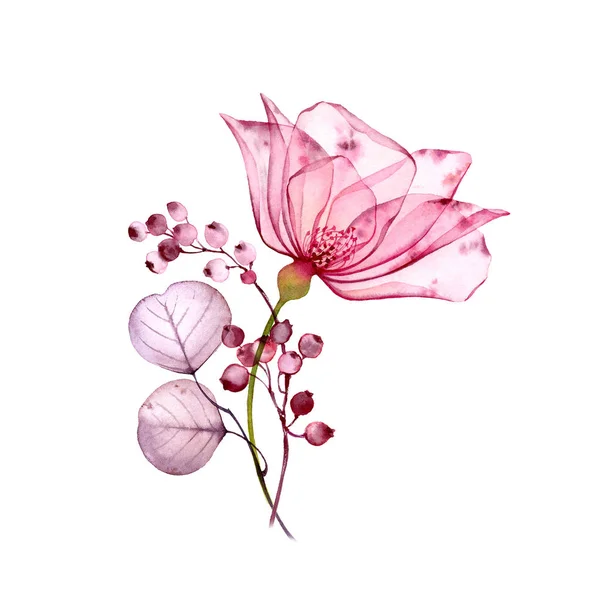 透明な花のセット大きなピンクのバラの花、ベリー、葉、パステルグレーの枝、紫、紫、ヴィンテージオーナメント、結婚式のデザイン、文房具カードプリント — ストック写真