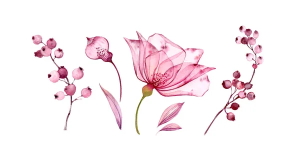 Aquarell transparentes Blumenset isoliert auf weißer Kollektion von Blättern, Beeren, Zweigen Kollektion in pastellrosa, grau, violett, lila, botanische Illustration Kollektion von Hochzeitsdesign-Elementen — Stockfoto