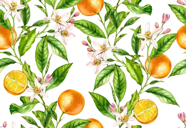 Frutto arancio ramo albero modello senza soluzione di continuità con fiori realistico disegno botanico superficie floreale: foglie di agrumi mezzo intero isolato su bianco disegnato a mano per carta da parati tessile — Foto Stock