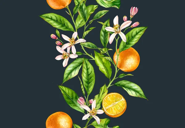 橙果枝。无缝垂直边框与花卉逼真的植物花卉插图在深蓝色背景手绘 — 图库照片