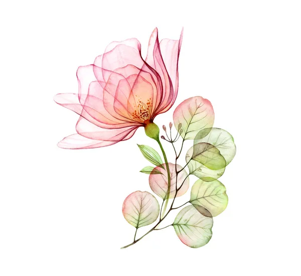 Arranjo floral rosa transparente de grande flor rosa e ramo de eucalipto. Ilustração desenhada à mão aquarela isolada em branco para artigos de papelaria de casamento, impressão de cartão — Fotografia de Stock