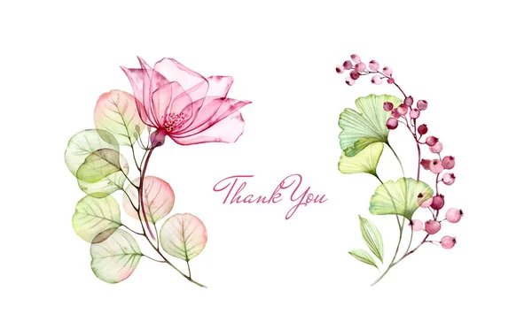 Akvarel průhledná růže s květinovým poděkováním. Eukalyptová větev, květiny a bobule izolované na bílém. Botanická ilustrace pro návrh šablony — Stock fotografie