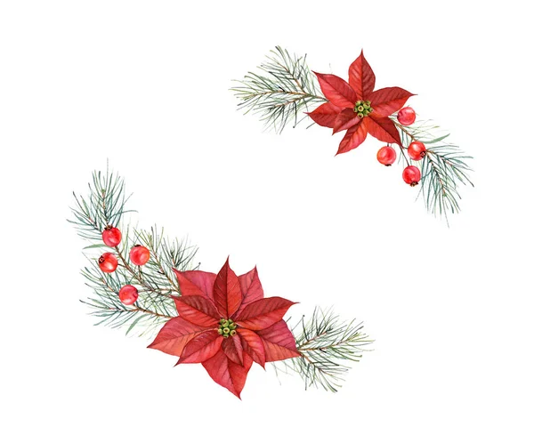 Watercolor bouquets of Christmas Stars. Hand painted illustration with two poinsettia flowers, pine tree, red berries. Winter holiday frame isolated on white for greeting card and festive decor