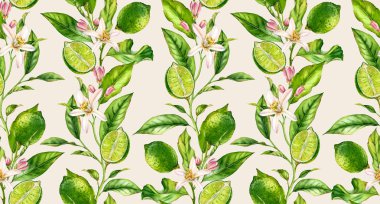 Kireç dalı dikişsiz suluboya deseni. Tekstil duvar kağıdı için çizilmiş krem bej arka plan el çiçek gerçekçi botanik çiçek yüzey tasarımı ile Meyve ağacı