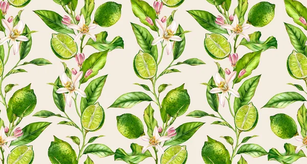 Kireç dalı dikişsiz suluboya deseni. Tekstil duvar kağıdı için çizilmiş krem bej arka plan el çiçek gerçekçi botanik çiçek yüzey tasarımı ile Meyve ağacı