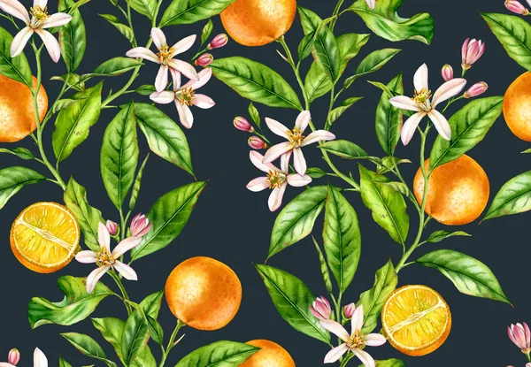 오렌지 과일 가지. 꽃과 원활한 패턴 은 어두운 파란색 배경 손에 식물 꽃 그림 그린 — 스톡 사진
