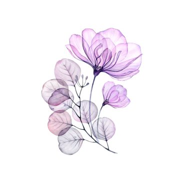 Şeffaf gül seti büyük gerçekçi mor çiçek, küçük tomurcuk, yapraklar, dallar. Pastel gri, menekşe rengi, düğün tasarımı için mor, kırtasiye kartı baskısı.