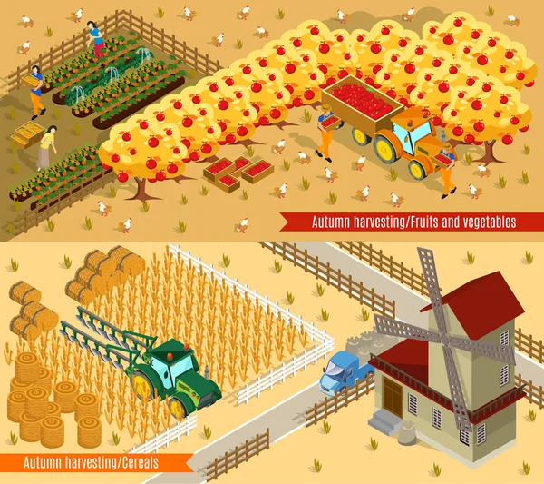 Bandiere orizzontali per agricoltura isometrica — Vettoriale Stock