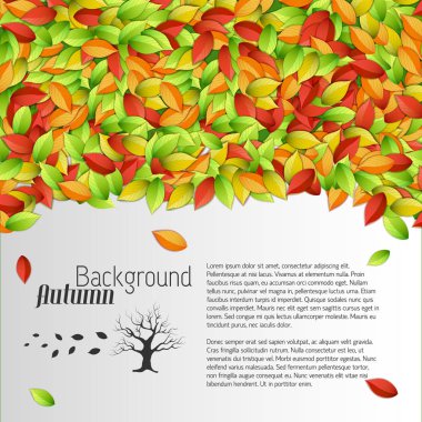 Doğal güzel sonbahar Poster