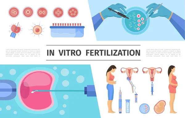 Byt v Vitro fertilizace prvky Set — Stockový vektor