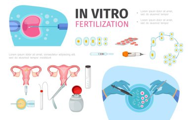 Daire in Vitro Fertilizasyon bileşiminde