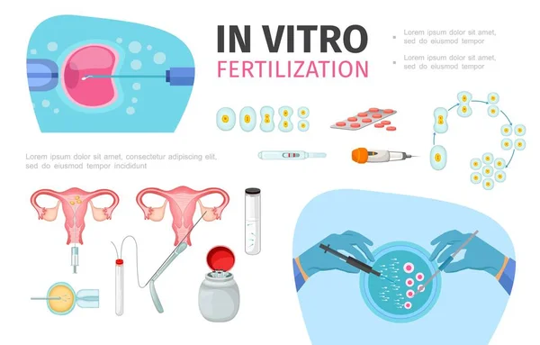 Byt v Vitro fertilizace složení — Stockový vektor