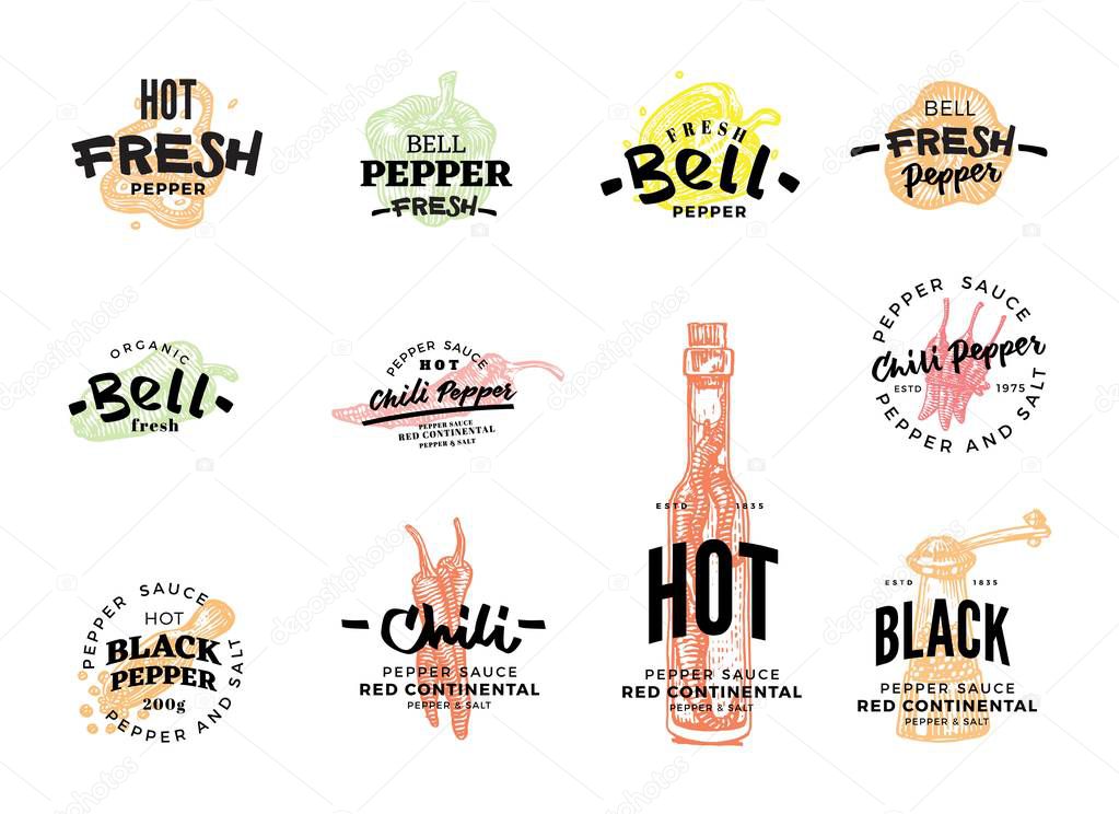 Isolated colored chili pepper logo set with hot fresh pepper bell pepper fresh chilly pepper sauce descriptions vector illustration