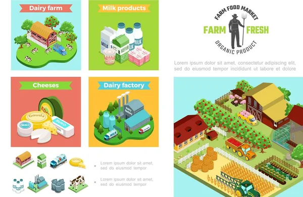 Agricoltura e Agricoltura Modello infografico — Vettoriale Stock