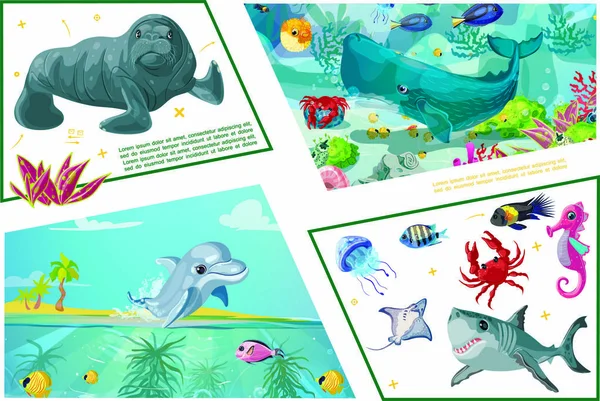 海の動物、水中生活の概念 — ストックベクタ