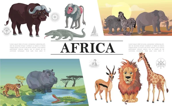 Karikatúra afrikai állatok összetétele — Stock Vector