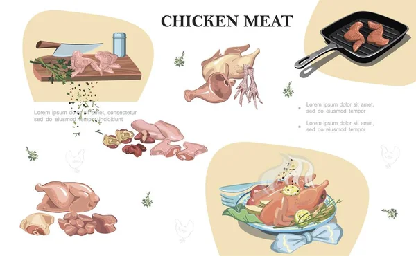 鸡肉肉组成 — 图库矢量图片