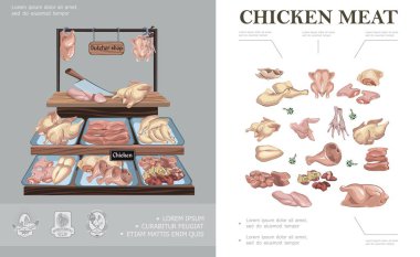 Kasap Dükkanı Renkli Konsept