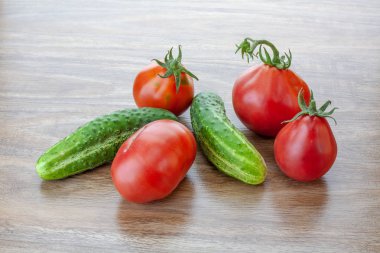 salatalık ve domates sadece Studio bahçeden