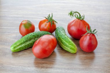 salatalık ve domates sadece Studio bahçeden