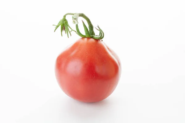 Tomate Rojo Solo Del Jardín Sobre Fondo Blanco — Foto de Stock