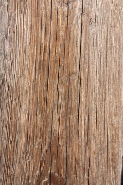 Yönetim Kurulu'nda ağaç yapısı